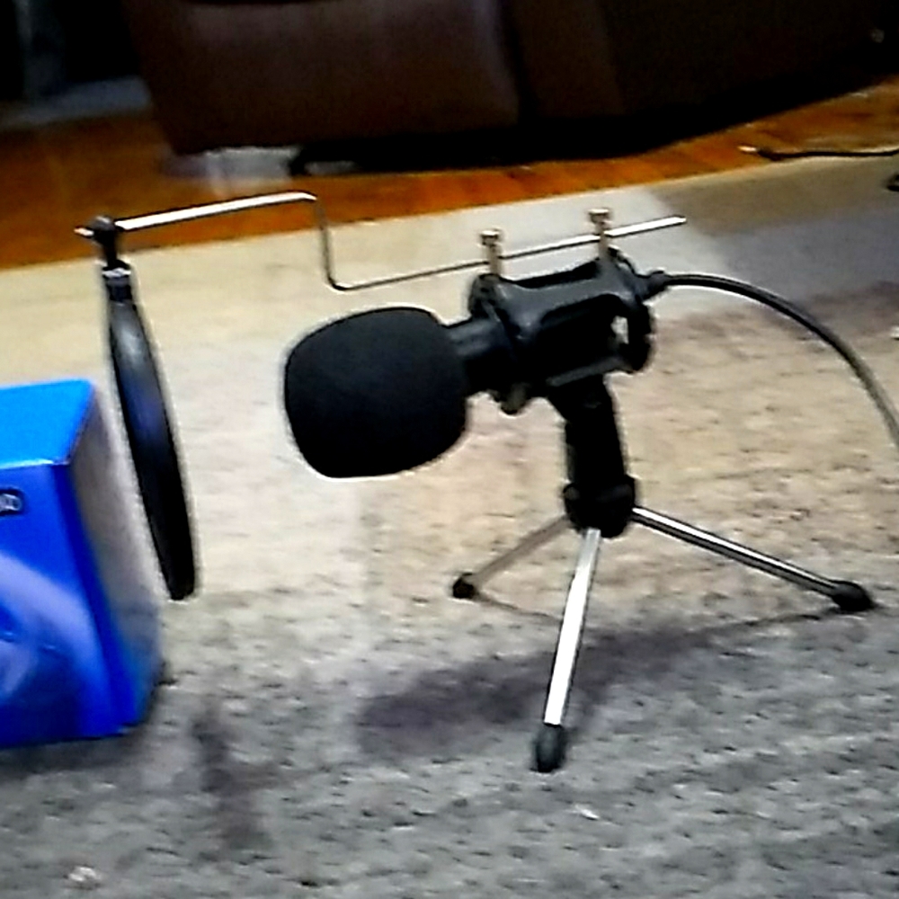 Professional condenser microphone